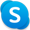 Skype icon.