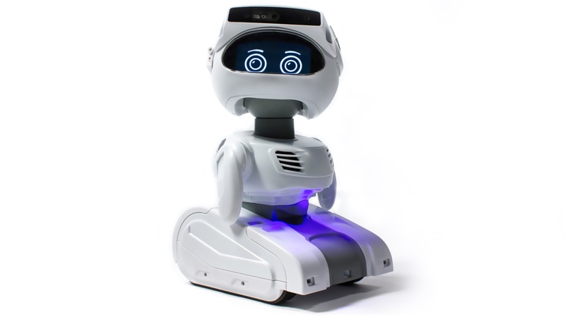 Small white robot with digital screen displaying eyes