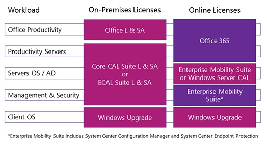 Client Access Licenses Cal Management Licenses Microsoft