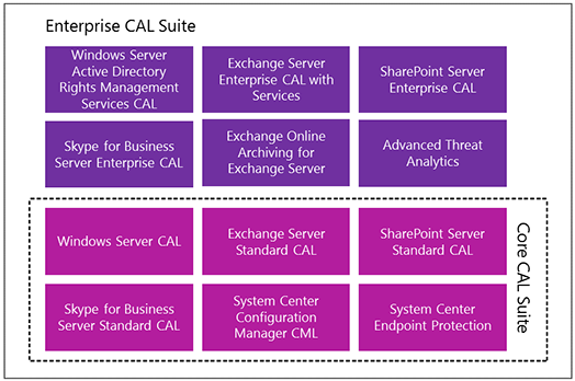 Client Access Licenses Cal Management Licenses Microsoft