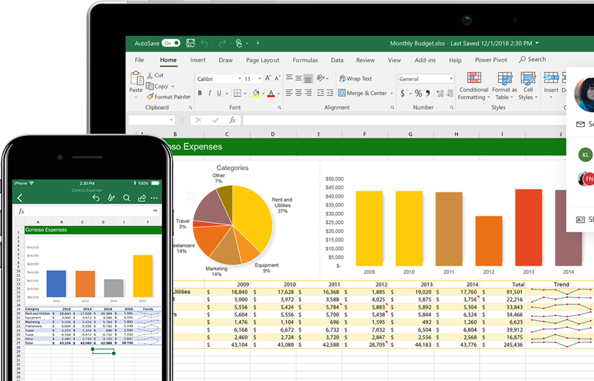 MS Office Excel 2010 buy online
