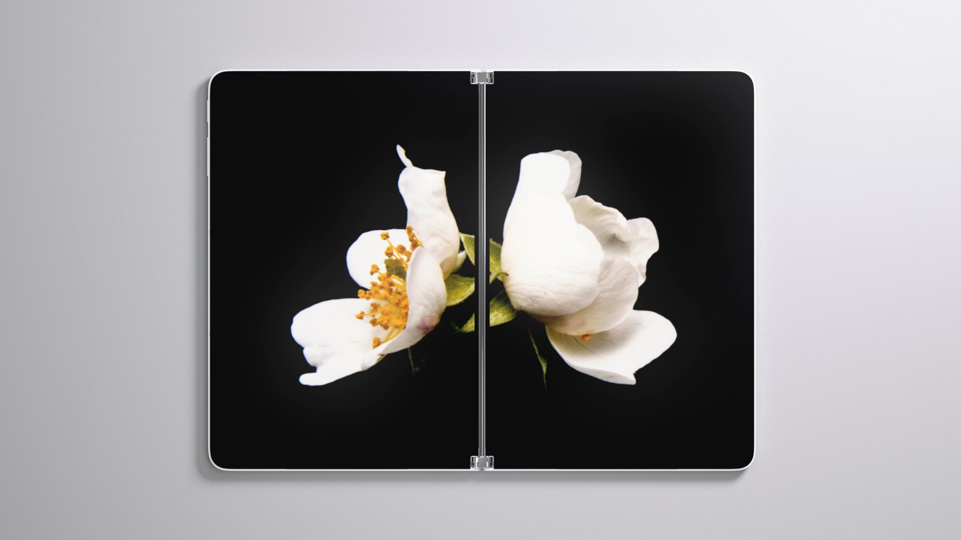 Surface Neo - 一款开创性的双屏幕设备，屏幕为2 9英寸