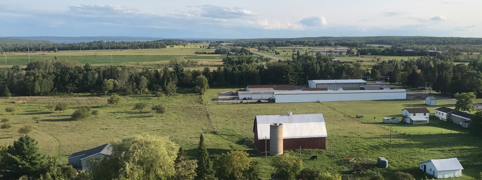 Aerial view of a farm -- green pastures, barns, and grazing cattle.