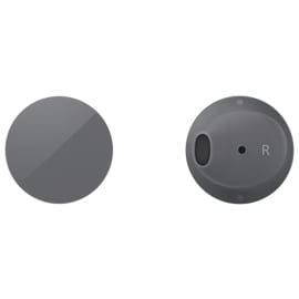 Graphite surface earbuds front and back view