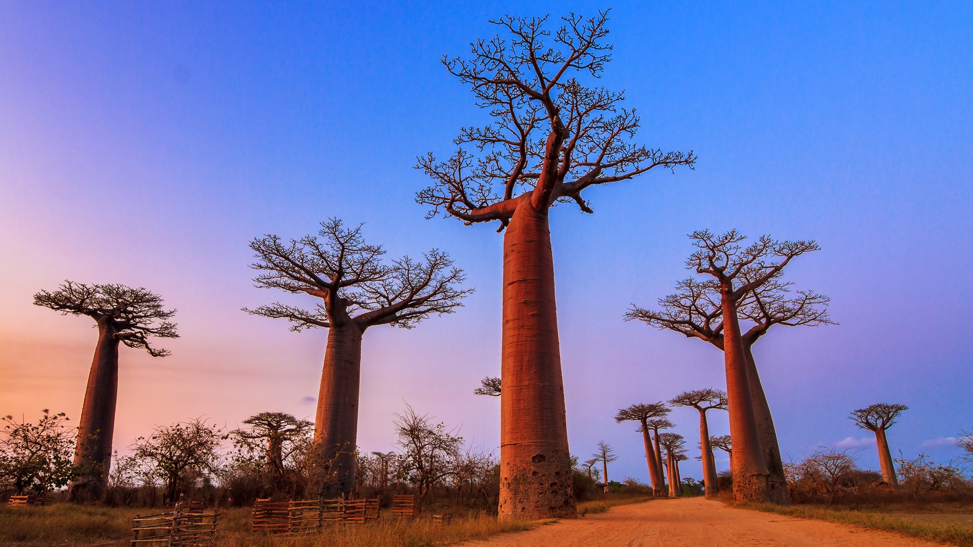 Menabe, Madagascar - Windows LockScreen