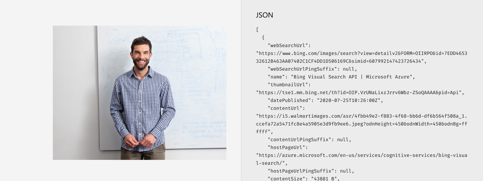 Illustrates the representative JSON response for Bing Visual Search API.