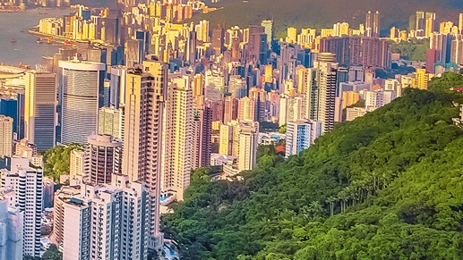Green hillside overlooking a city