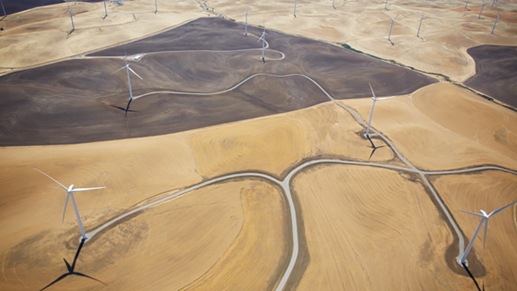 Wind turbines in yellow and brown fields.