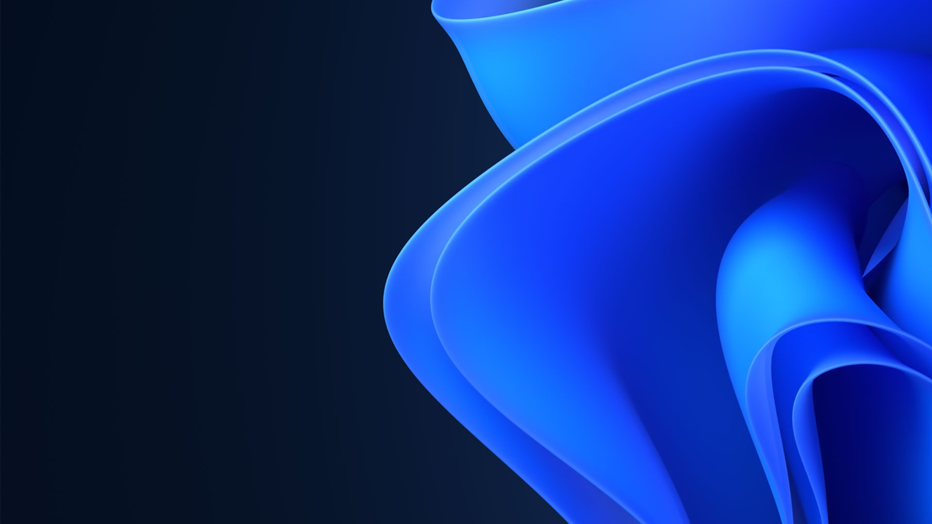  Windows 11 파란 리본 모양 꽃 로고