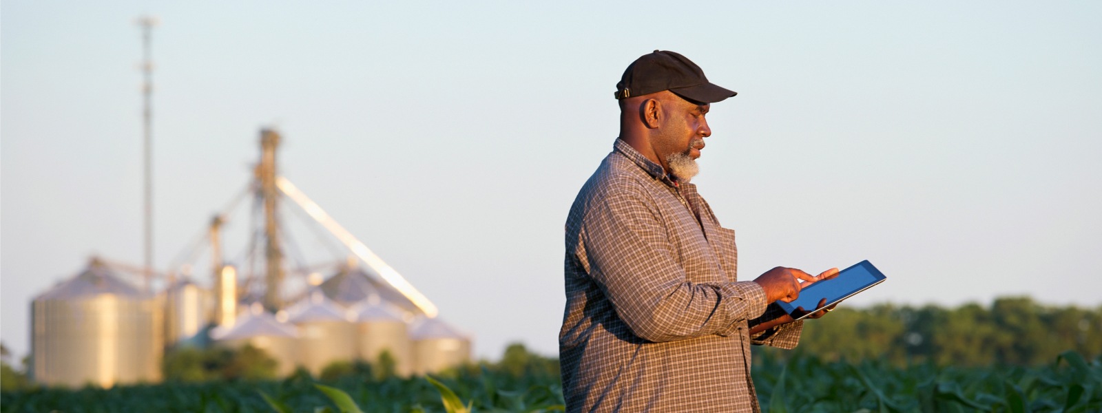 African-American farmer with digital tablet in crop field.