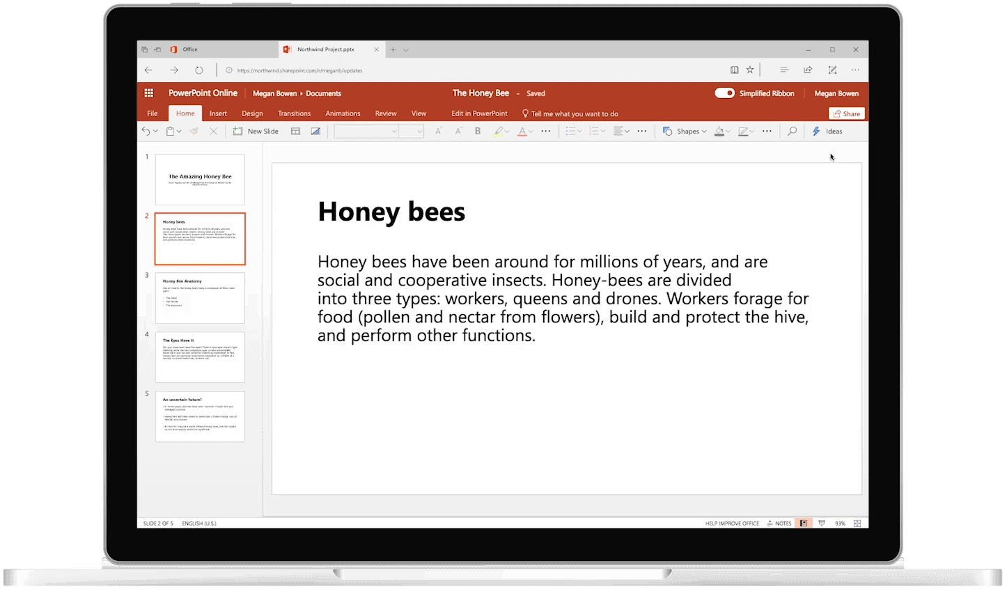 PowerPoint presentation showing in device
