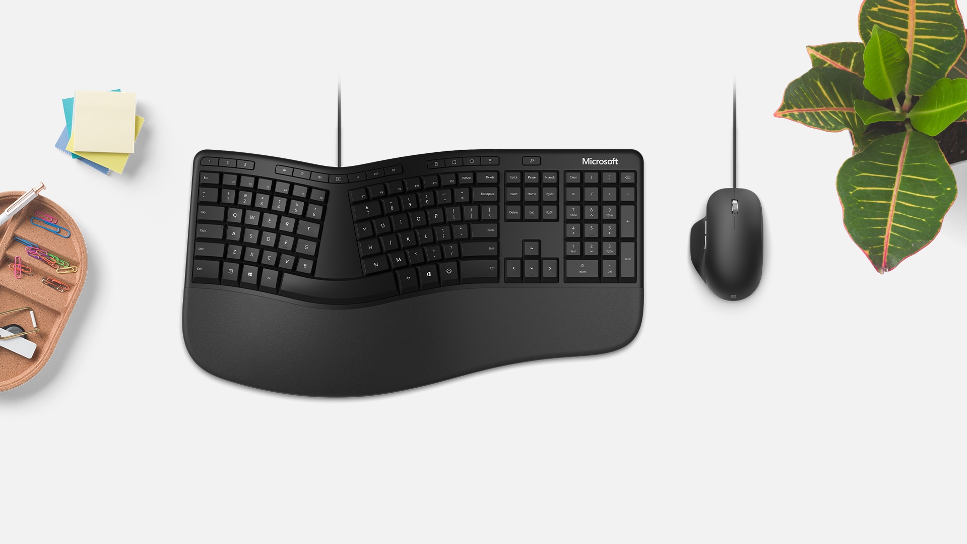 Ein Microsoft Ergonomic Keyboard und eine Microsoft Ergonomic Mouse befinden sich auf einem Schreibtisch neben einer Pflanze. 