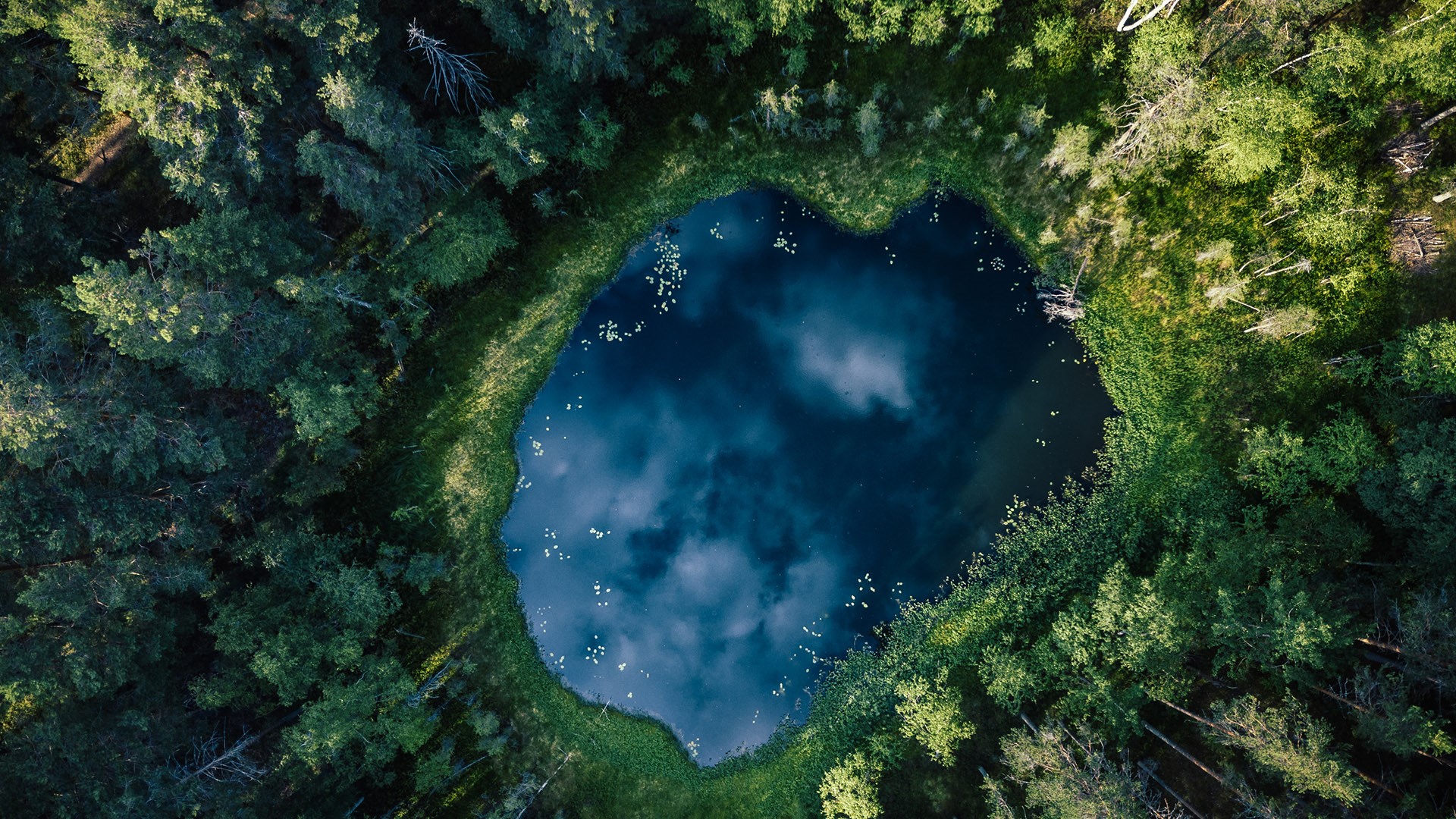 フィンランド 湖水地方 Windows Lockscreen