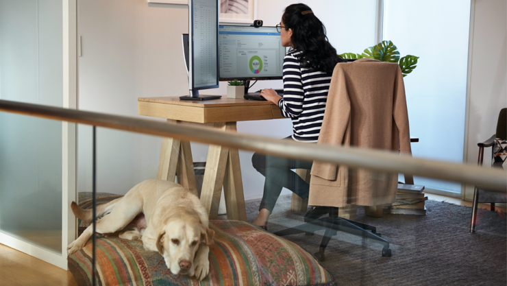 Person works at a desk in a home office using two large desktop monitors while a dog rests on a dog bed nearby.