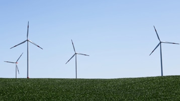 Éoliennes dans un champ