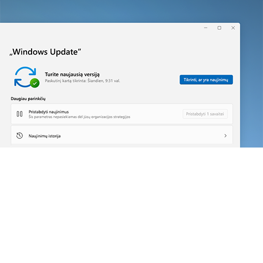 „Windows“ naujinimas