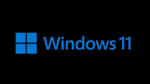 Das Windows 11-Logo