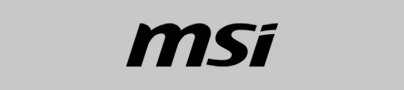 The msi logo