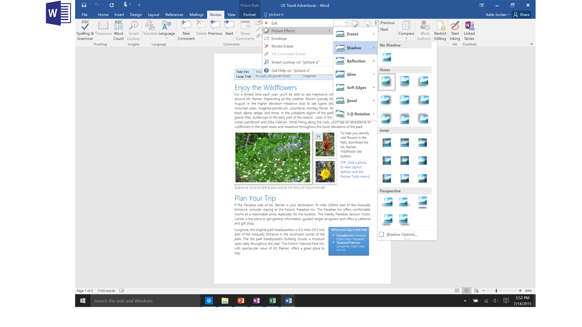 Office Professional  Office Professional  Screenshot Of Word