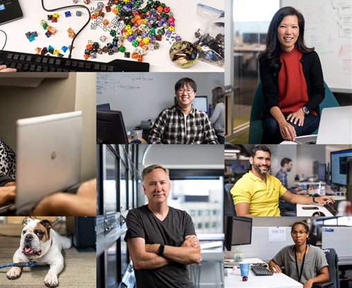 Composite of several other photos: seven portraits of male and female developers; one showing developer on beanbag; portrait of dog; and a closeup of hands on a keyboard and game dice.