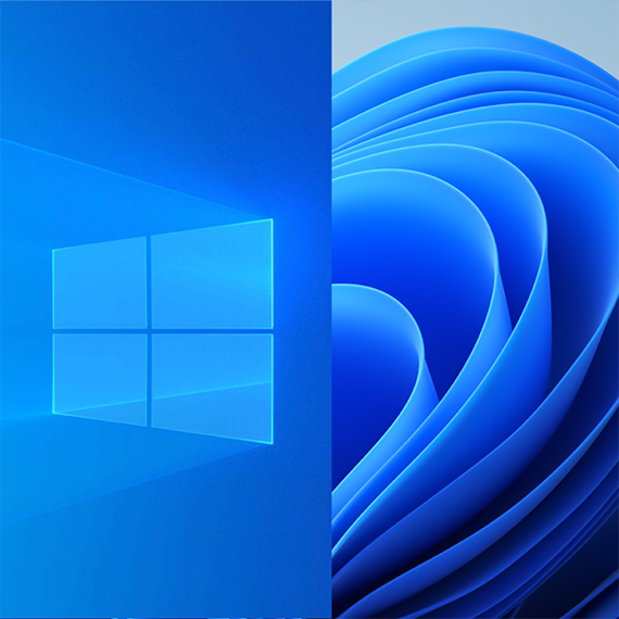 Windows 10 の Windows ロゴと、Windows 11 のブルームのロゴ