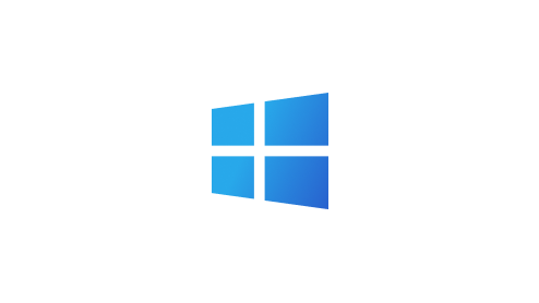 Licensed Windows 10 Pro (License Tag only)