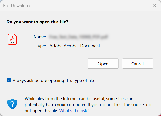 Always ask before opening this type of file