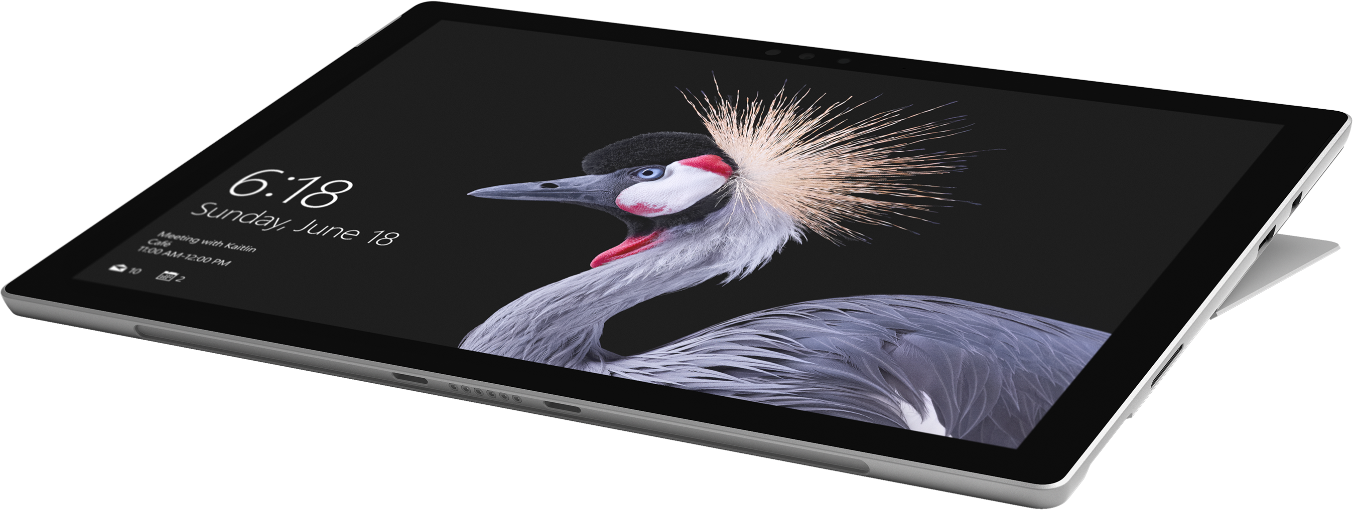 Surface Pro (5th Gen) + Platinum Signature Type Cover Bundle