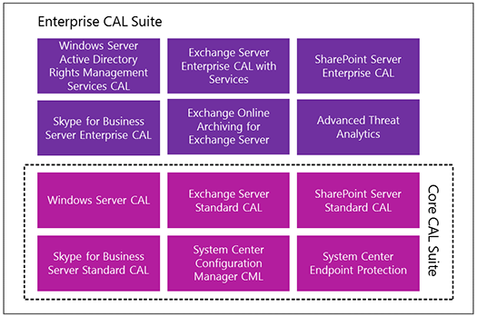 Client Access Licenses Cal And Management Licenses Microsoft Volume Licensing 7689