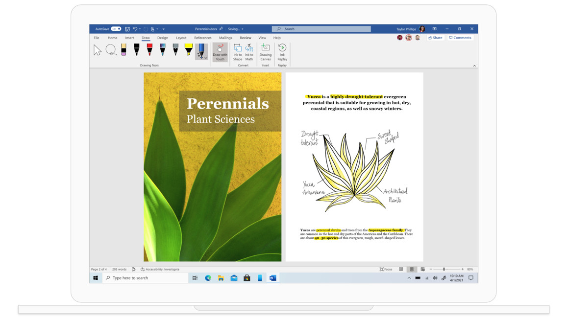 A Word document named Perennials Plant Sciences with diagrams of plants.