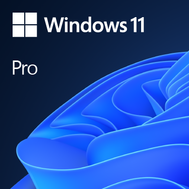 Windows 11 專業版
