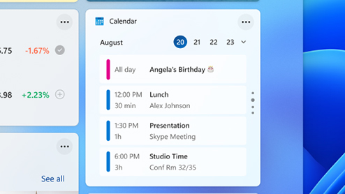 The Calendar Widget showing appointments