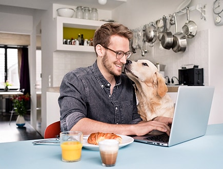 A person eating breakfast and working on their laptop while a dog sniffs their face.