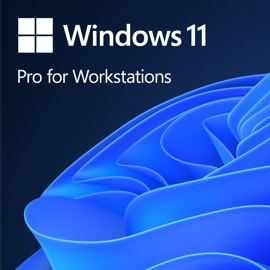 Windows 11 Pro for Workstations  bloom.