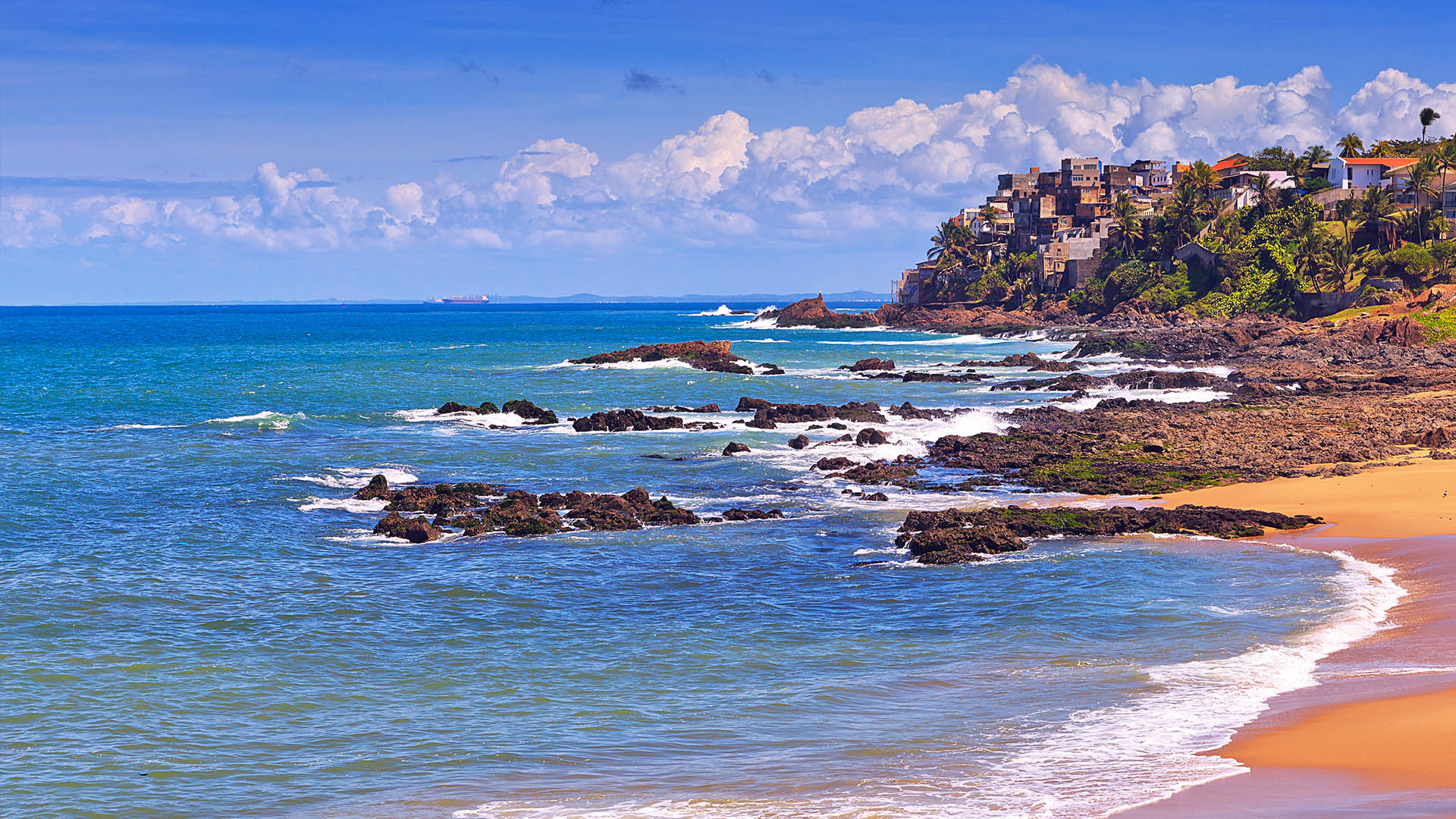 巴西最好的海滩-安娜无处不在 - 半岛手机综合app官网版 - 安全版