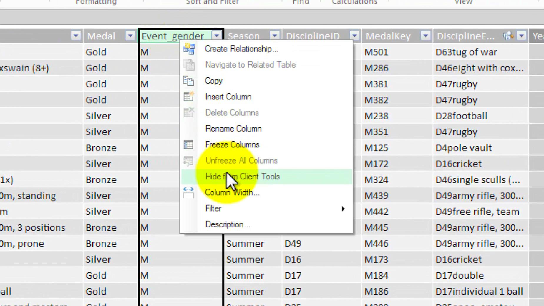 hide columns and tables in power pivot - excel
