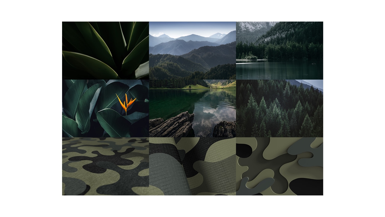 A grid of nature photos of dark green leaves, green mountain landscapes, mountain lakes and evergreen trees as color inspiration for the Forest Camo mouse.